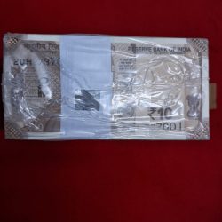 10 RUPEE RIM SERIAL NO. 737001