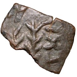 Alternative view of Copper Coin of Ancient Kausambhai (2nd Cen. BC) with Bull/Tree & Brahmi Inscription