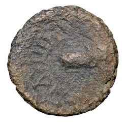 Copper-Alloy Coin of Siva Magha (3rd Cen. AD) from Kosambi Region Rare
