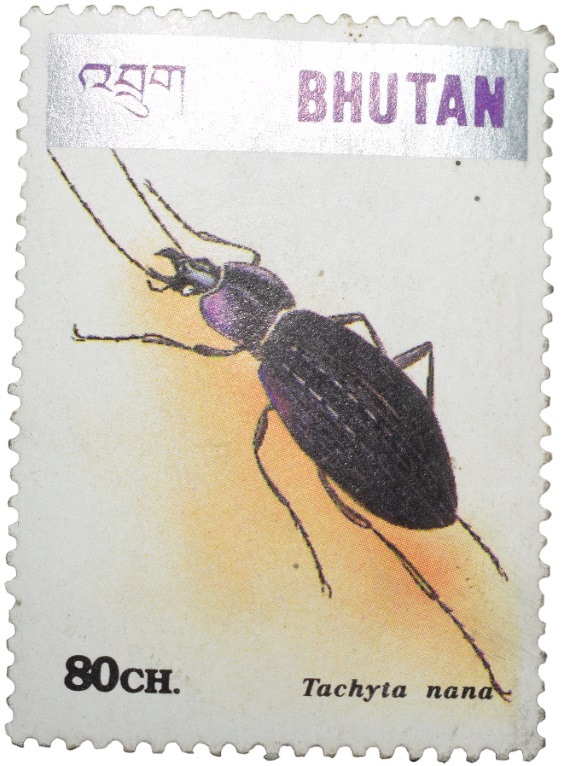 Postal Stamp of Bhutan Country - 80 Chhertums with Insect - Tachyia nana - Mint Un-Used Condition as per Image