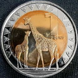 South Sudan, 1 Pound, 2015, KM# 4, Bimetal, UNC Condition.