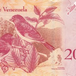 20000 Bolivares of Venezuela Country (AD 2016-2017) with Red siskin Birds & Mountains