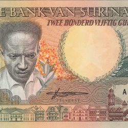 Alternative view of 250 Gulden of Surname Country (AD 1991-1998) with Toucan bird