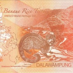 20 Piso of Philippines Country (AD 2022) with Banaue Rice Terraces in background, palm civet at centre