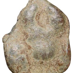 Lead Coin of Satavahana Dynasty (1st Cen. BC) from Vidarbha(Pauni) Region Bold Nandipad/Ujjaini Symbol