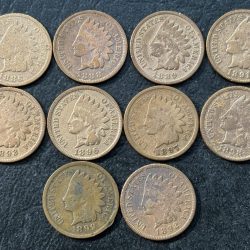 USA Indian Head 10 Different Years One Cent Collection