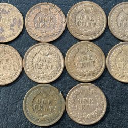 Alternative view of USA Indian Head 10 Different Years One Cent Collection