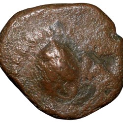 Copper Coin of Madurai Nayakas(16th - 17th Cen. AD) with Conch Ty.5.170 K.Ganesha