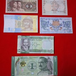 1 RUPEE DENOMINATION CHINA,PAKISTAN,UKRAINE,BHUTAN,SOUTH SUDAN, GAUTEMALA GEM UNC CONDITION
