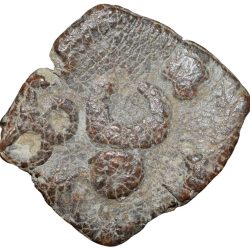 Alternative view of Lead Coin of Satavahan Dynasty (1st Cen. BC) from Vidarbha(Yavatmal) with Elephant/Bold Nandipad