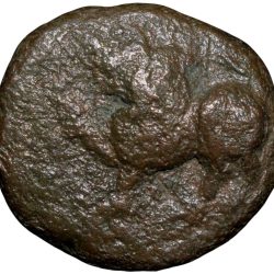 Copper Kasu of Mysore State (17th - 18th Cen. AD) with Lion with fore Pow Raised Rare