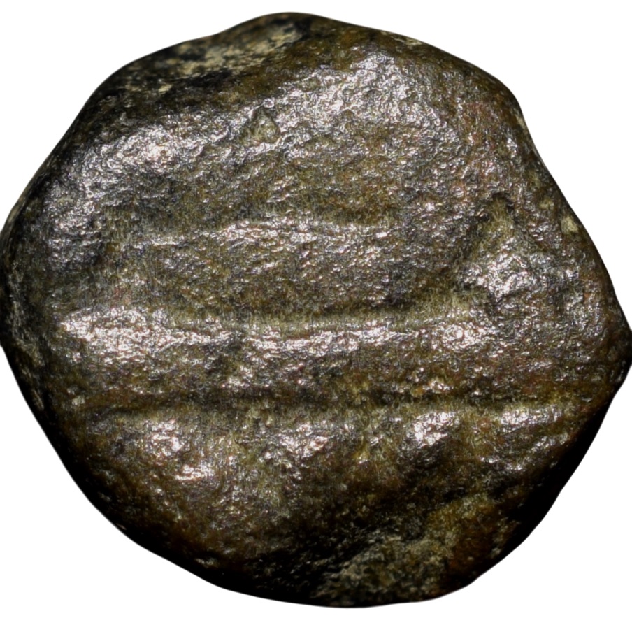 Copper 1/4 Tanka of Sikander Shah Lodi(AD 1488-1517) of Delhi Sultanate D710