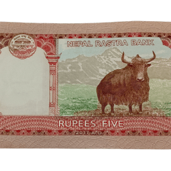 Alternative view of NEPAL Bison 🦬 Series 5 RUPEES in High AUNC Grade.