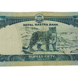 Alternative view of NEPAL Snow Leopard 🐆 Series 50 RUPEES in Collectable Grade.
