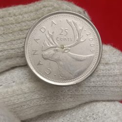 Alternative view of Elizabeth Twenty Five Cents 2009 Year Canadian Cent