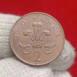 Elizabeth Copper Coin Two Pence 2000 Year World Coin Collection