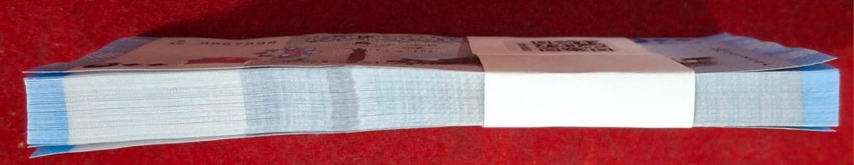 Syria 500 Pounds GEM UNC Rare (100 note ) Packet - Image 3