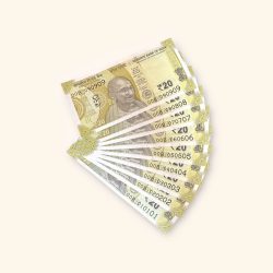 Rs 20/- India Banknote Semi Solid Set 00 Same Prefix 090909 To 010101 Gem Unc Unique and Rare