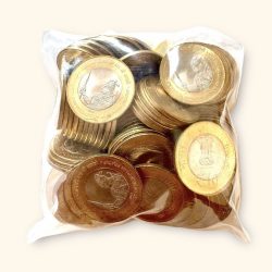 Rs 10 India Government Issue Maharana Pratap Coin Issue KOLKATA Unlisted ISSUE 100 Coin Pouch Ultra Rare