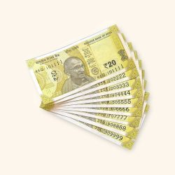 Alternative view of Rs 20 India Banknote Fancy Number Set 010000 till 090000 Gem Unc Very Unique and Rare