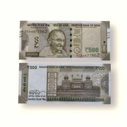 IS116 Rs 500 India Banknote Star Replacement Issue 9SA INSET S 2021 Limited Issue