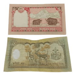 Alternative view of NEPAL 5 RUPEES and 10 RUPEES "POLYMER" Issue Set 2 Notes are in Collectable Grades.