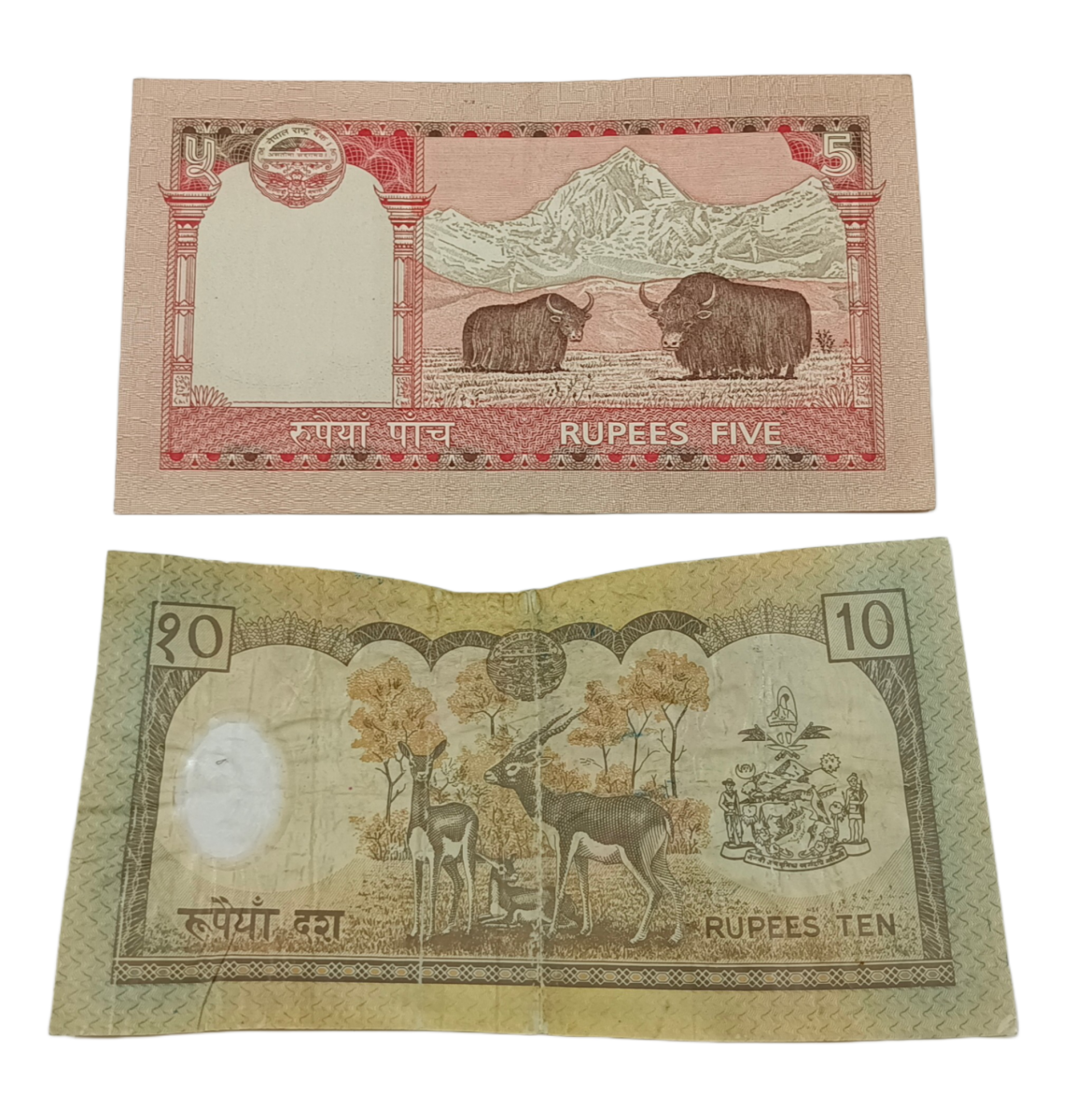 NEPAL 5 RUPEES and 10 RUPEES "POLYMER" Issue Set 2 Notes are in Collectable Grades. - Image 2