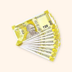 Rs 20 India Banknote Fancy Number Set 001122 till 889900 Gem Unc Very Unique and Rare