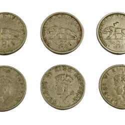 Half 1/2 Rupee Cu/Ni Year 1947 LION 🦁 Portrait Lot 6 Coins are in Collectable Grades.