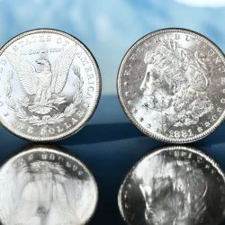 The United States of America One Dollars Coronet Head With Morgan Eagle 1881 Unique and Rare UNC