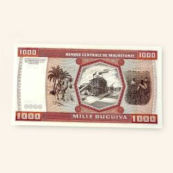 Alternative view of 1000 Ouguiya World Banknote from Mauritania issued on November 28 1981 Gem Unc Very Unique and rare