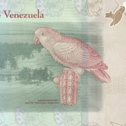 2 Bolívares of Venezuela Country (AD 2018) with A yellow headed parrot on a cactus