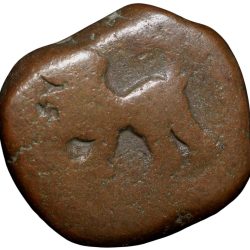 Copper Paisa of Namdar Khan(18th Cen. AD) of Hyderabad Feudatory of Elichpur with Tiger Left KM # C10a