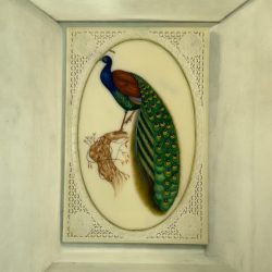 Jaipur Hand Made Peacock Painting Very Unique and Rare