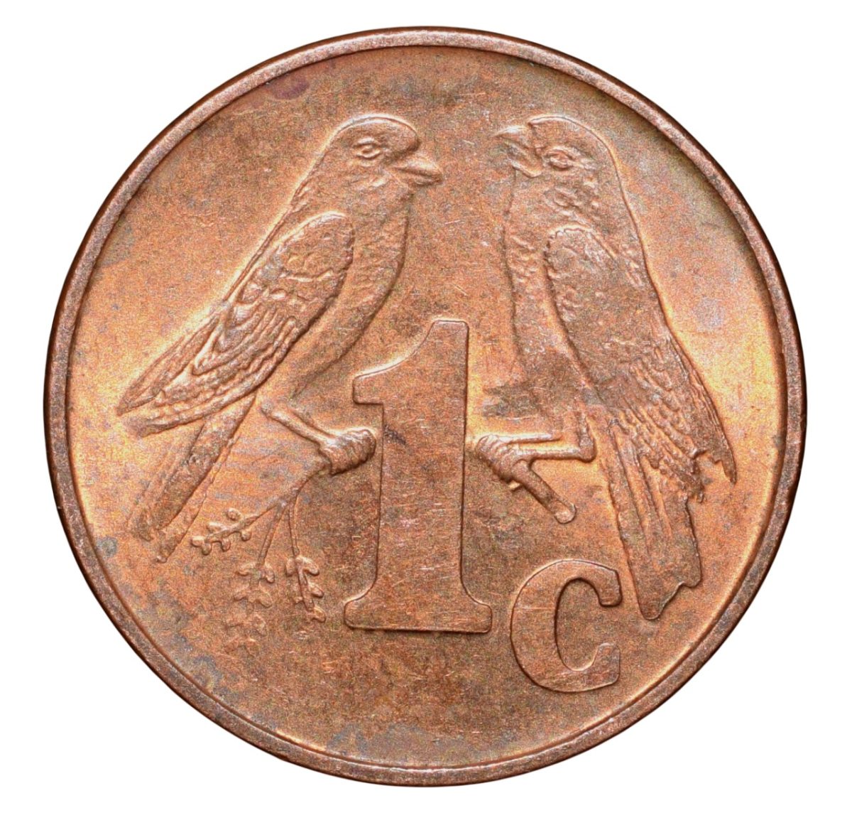 Bronze 1 Cent of South Africa (AD 2001) with Cape sparrows - Image 2