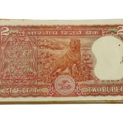 Alternative view of 2 Rupees TIGER 🐯 Issue SEMI-FANCY Sort Bundle 98 Notes (123450//123456) are missing, Multiple SEMI FANCY Notes SORT BUNDLE in UNC Grade.