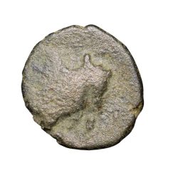Copper-Alloy Coin of Bhimavarman(3rd Cen. AD) of Magh Dynasty of Kausambhi Bull/Tree