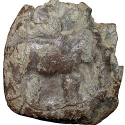 Lead Coin of Satavahana Dynasty (1st Cen. BC) from Vidarbha(Yavatmal) Region with Elephant/Nandipad