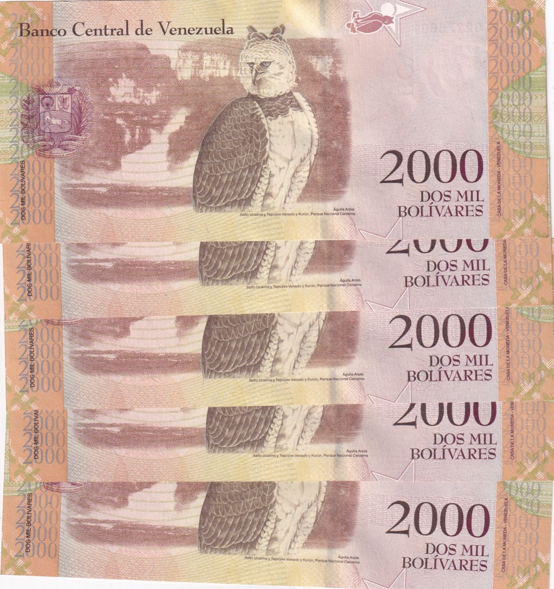 VENEZUELA 2000 BOLIVARES Serial 5 Notes Gem UNC 5 Paper currency & Bank notes - Image 2