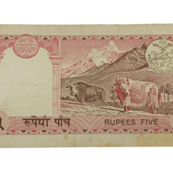 Alternative view of NEPAL Old Issue 5 RUPEES “Pink Color” KING Portrait Two YAAKS Back **RARE** Collectable Grade.