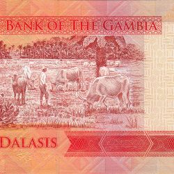 Alternative view of Gambia 5 Dalasis World Banknote UNC Unique and Rare