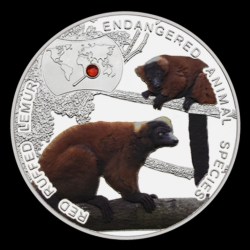 Alternative view of Extremely Rare 1000 KWACH 2014 Rare Endangered Animal Species Red Ruffed Lemur 2014 Republic of Zambia