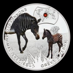 Extremely Rare 1000 KWACH 2014 Rare Grevy's Zebra Africa Protect Endangered Animal Species Republic of Zambia