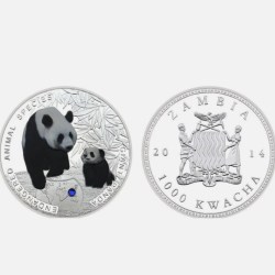 Extremely Rare 1000 KWACH 2014 Year Endangered Animal Species Giant Panda Proof Coin Republic Of Zambia