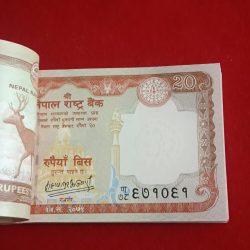Alternative view of Rare 20 Twenty Rs Nepal Full Bundle Nepal Rashtriya Bank