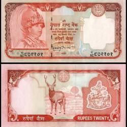 Nepal 20 Rupees banknote features King Gyanendra world banknote UNC Unique and Rare
