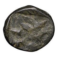 Alternative view of Copper-Alloy Coin of Bhimavarman(3rd Cen. AD) of Magh Dynasty of Kausambhi Bull/Tree