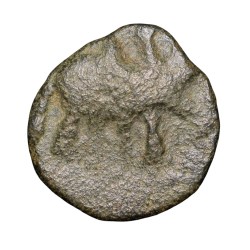 Copper-Alloy Coin of Bhimavarman(3rd Cen. AD) of Magh Dynasty of Kausambhi Bull/Tree