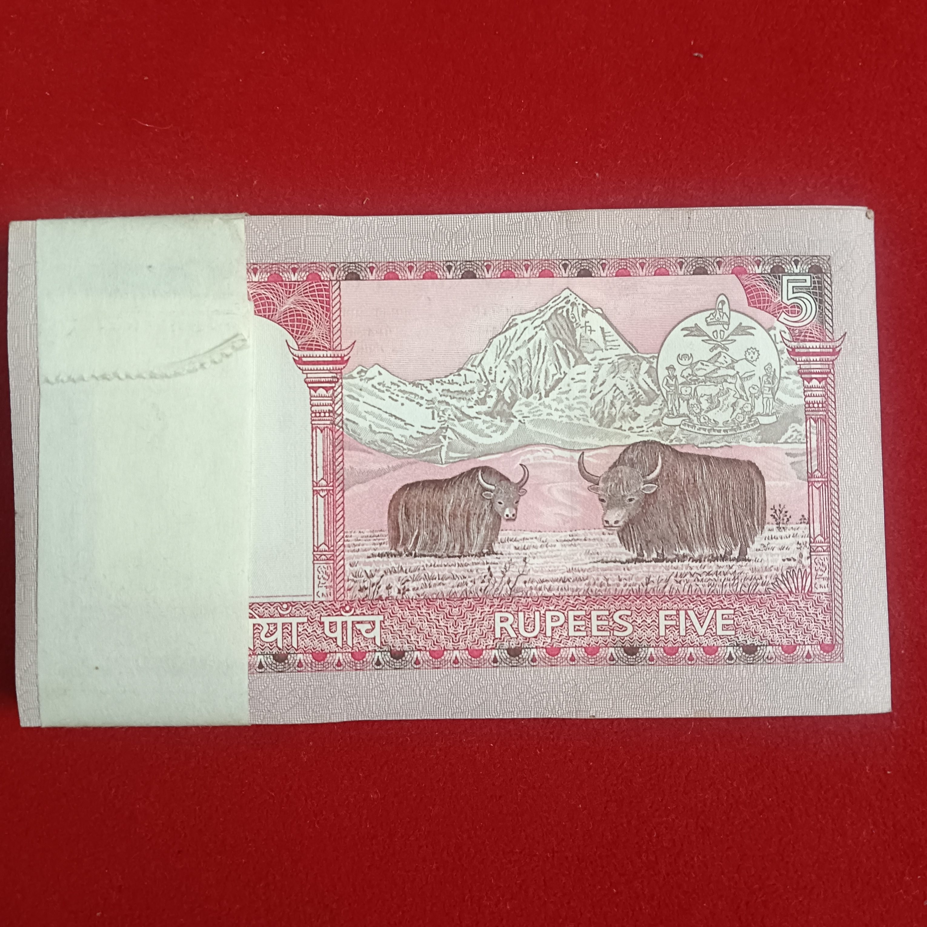 Five Rs Nepal King Ex Rare First Issue Full Serial Bundle - Image 7