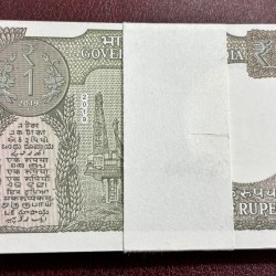 Alternative view of one rupee 2019 pink colored bundle